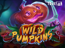 Wild Pumpkins